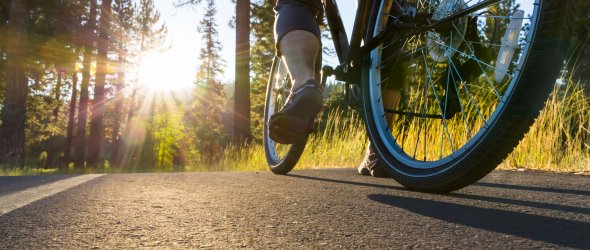 Bike on the asphalt path illuminated by sun.