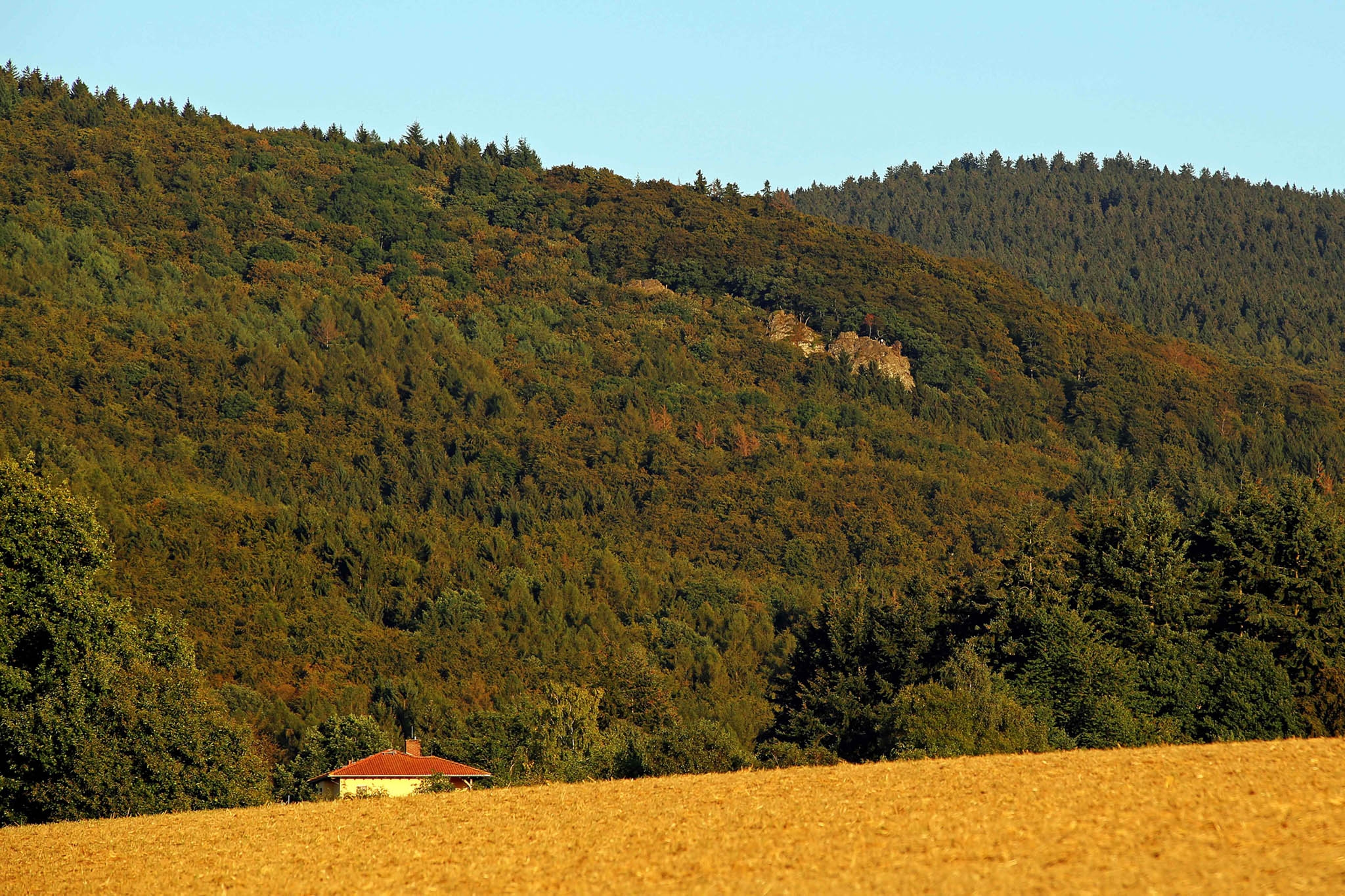 Waldfläche des Ortsteils Oberems mit Blick auf den Großen Zacken (Ausflugsziel)