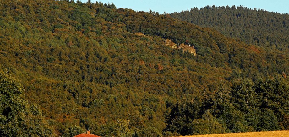 Waldfläche des Ortsteils Oberems mit Blick auf den Großen Zacken (Ausflugsziel)