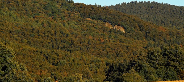 Waldfläche des Ortsteils Oberems mit Blick auf den Großen Zacken (Ausflugsziel)